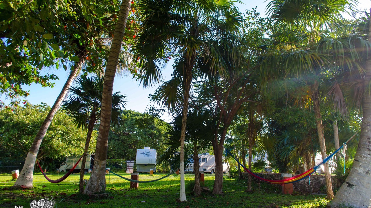 Photo of Outdoor in Puerto Juarez