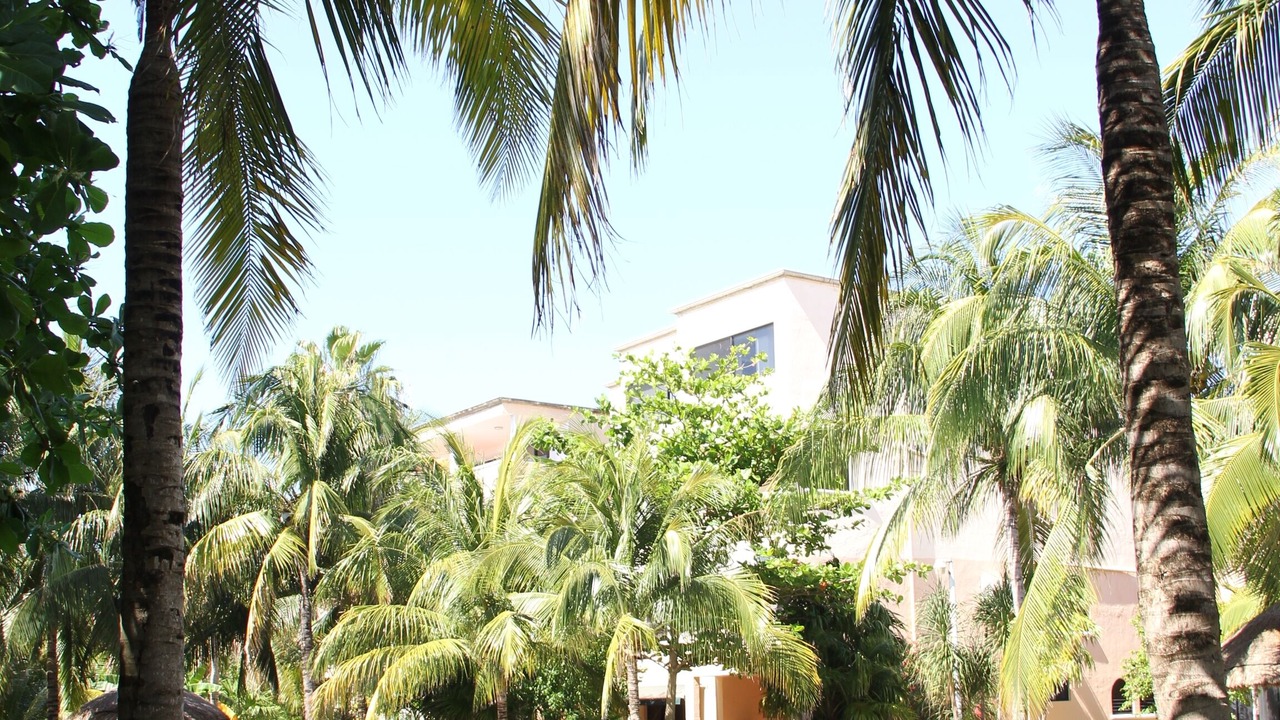 Photo of Outdoor in Zona Hotelera