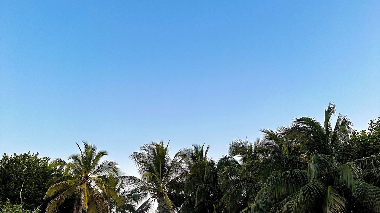 Photo of Outdoor in Zona Hotelera