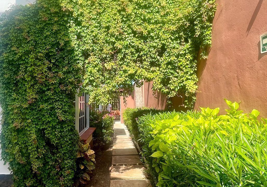 Photo of Outdoor in Salinas