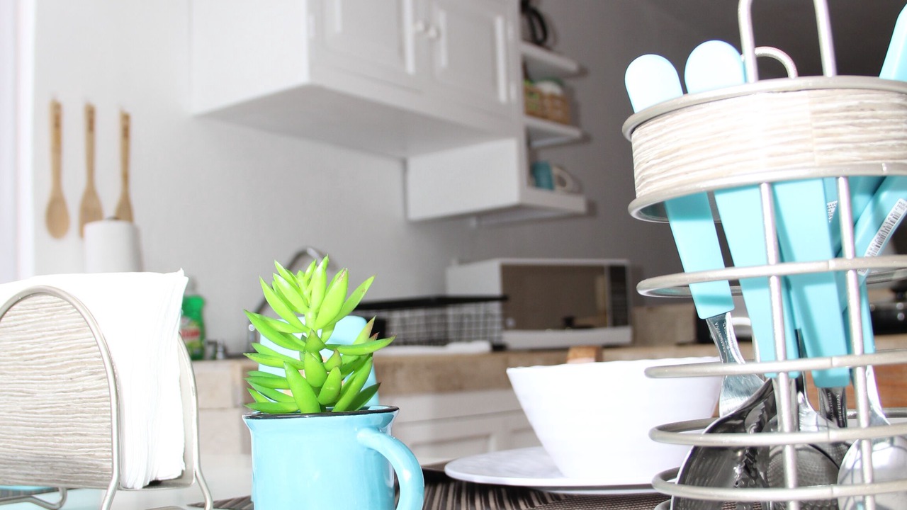Photo of Kitchen in Zona Hotelera