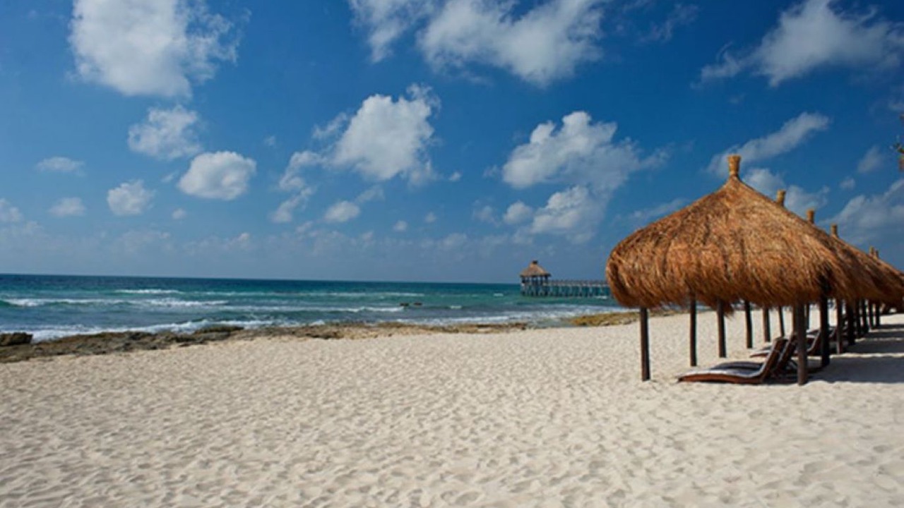 Photo of Others in Playacar