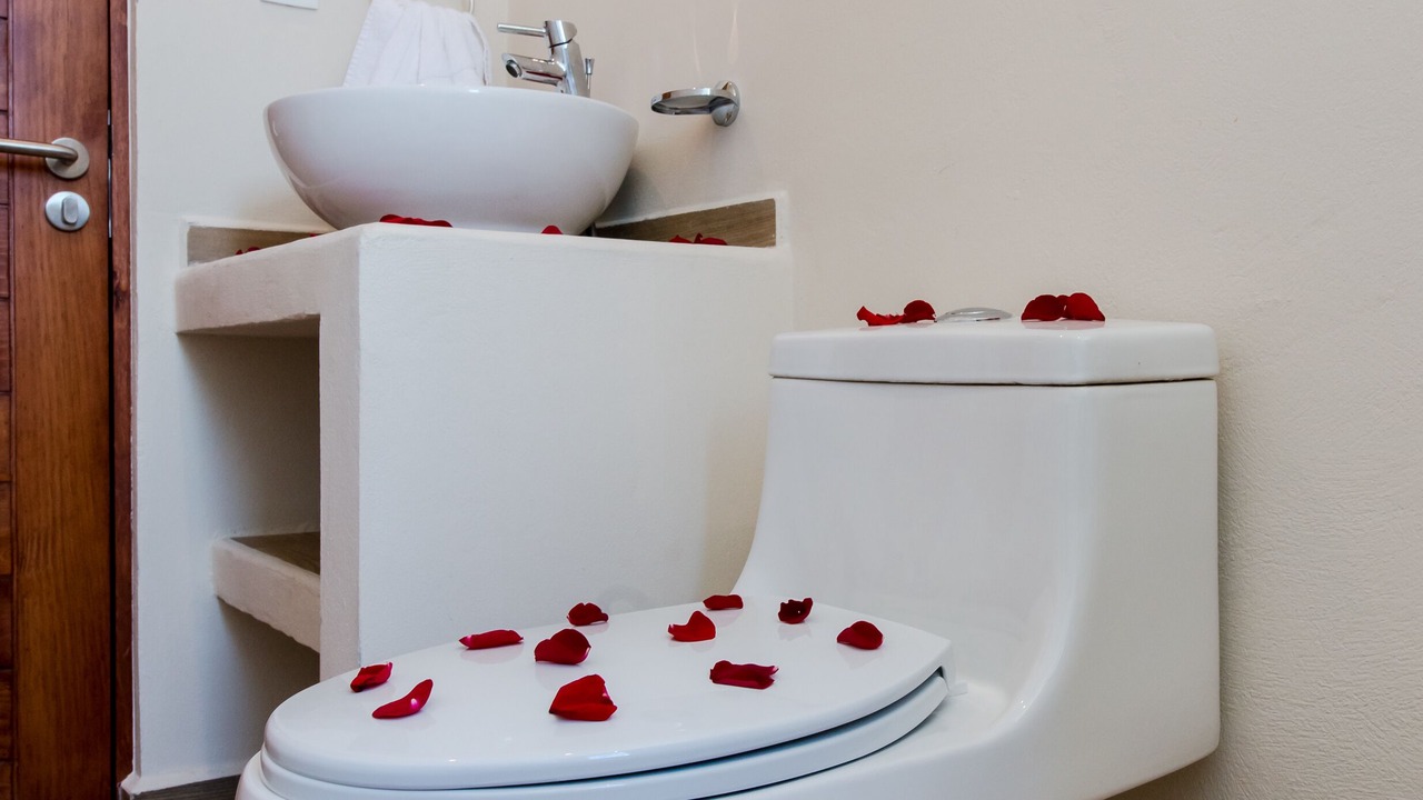 Photo of Bathroom in Playacar