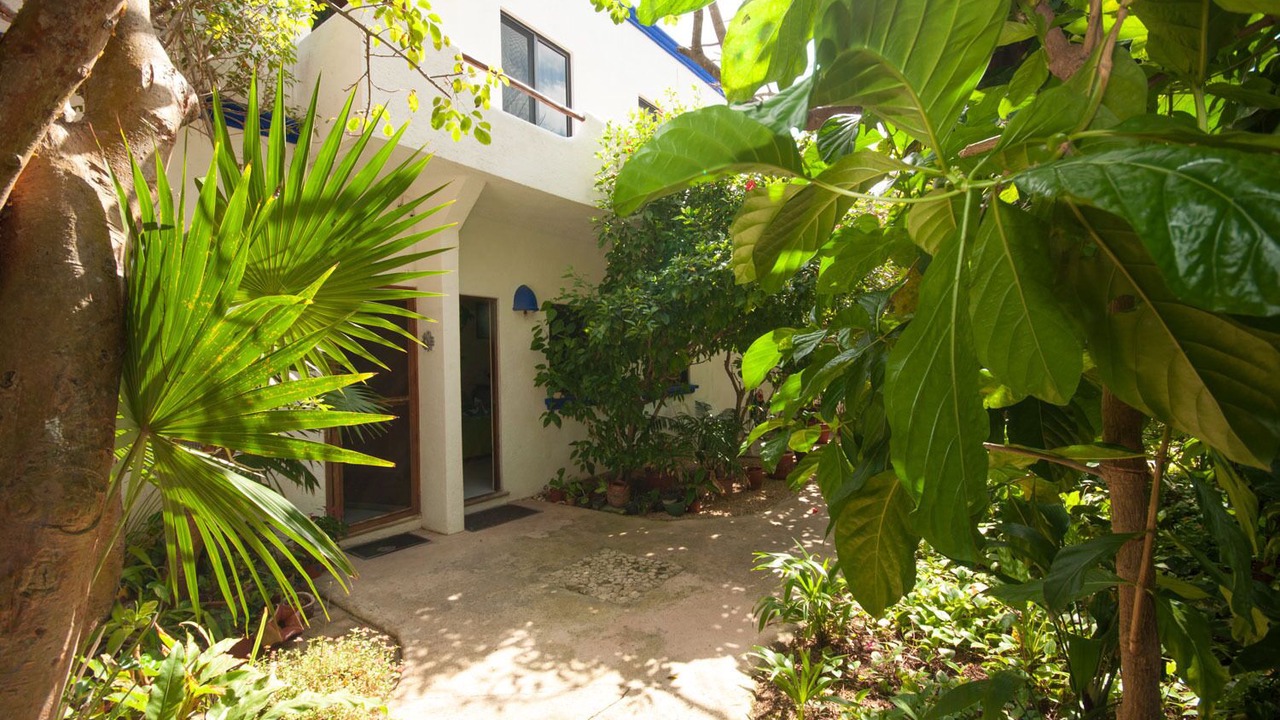Photo of Outdoor in Akumal