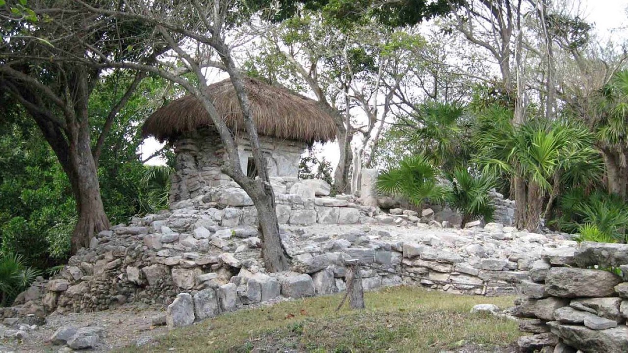 Photo of Others in Playacar Fase I
