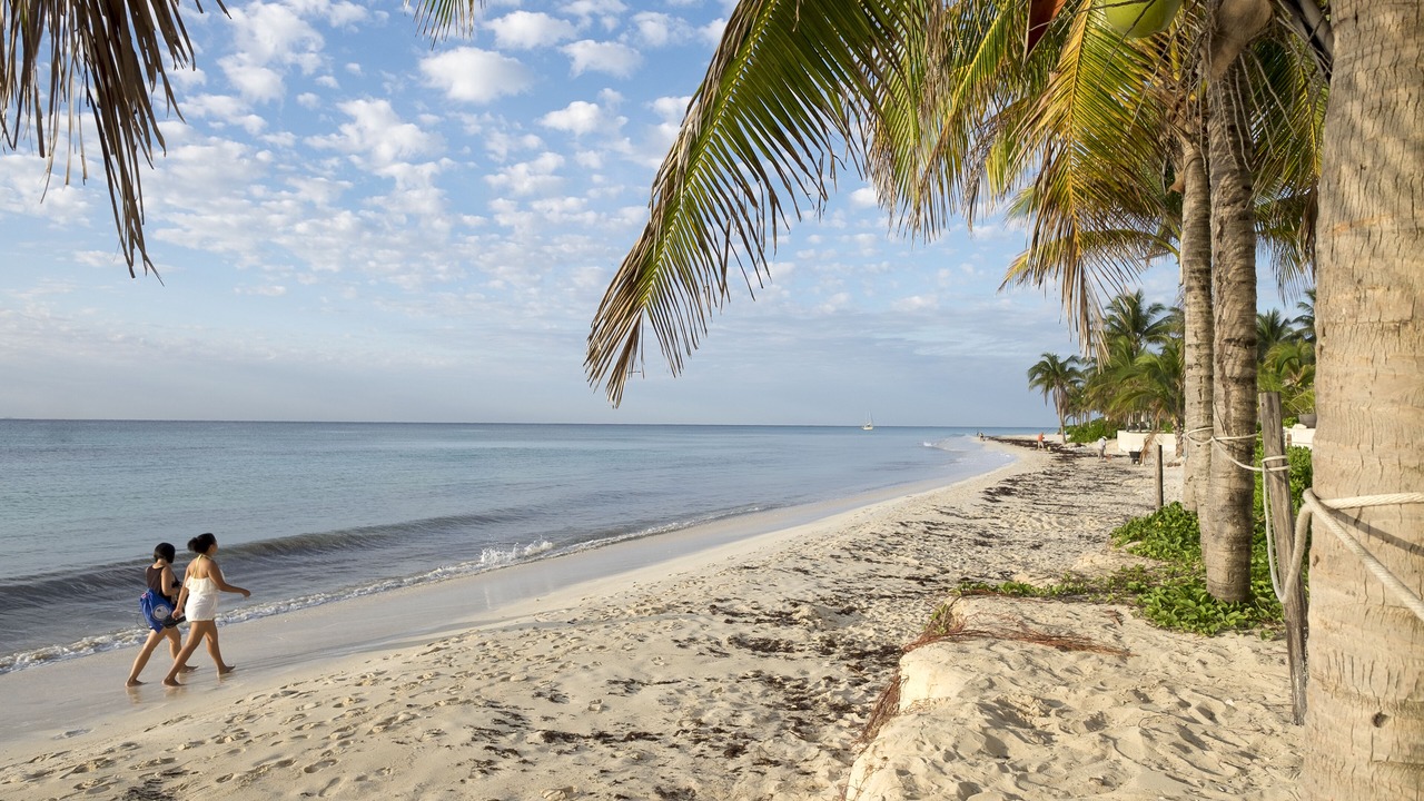 Photo of Others in Playacar Fase I