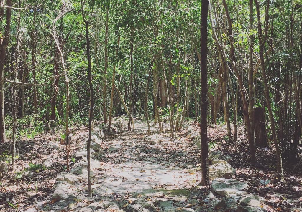 Photo of Outdoor in Xpu-Ha