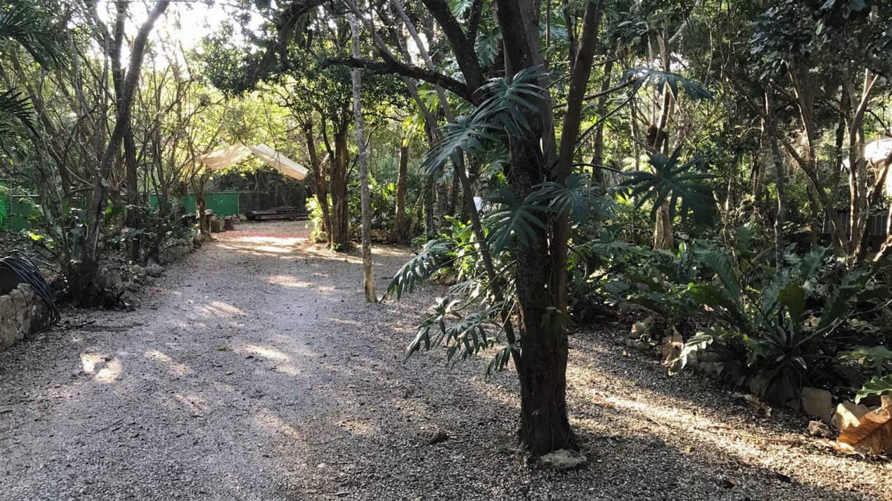 Photo of Outdoor in Xpu-Ha