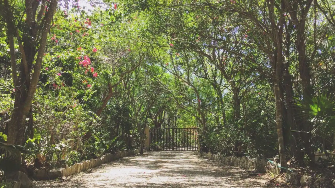 Photo of Outdoor in Xpu-Ha