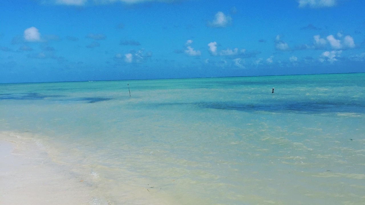 Photo of Others in Punta Allen