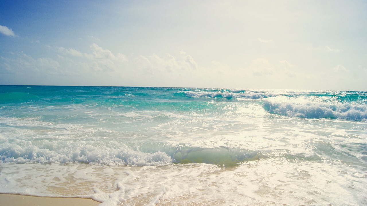 Photo of Others in Punta Allen