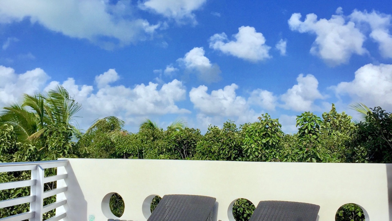 Photo of Others in Punta Allen