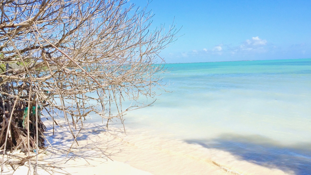 Photo of Others in Punta Allen