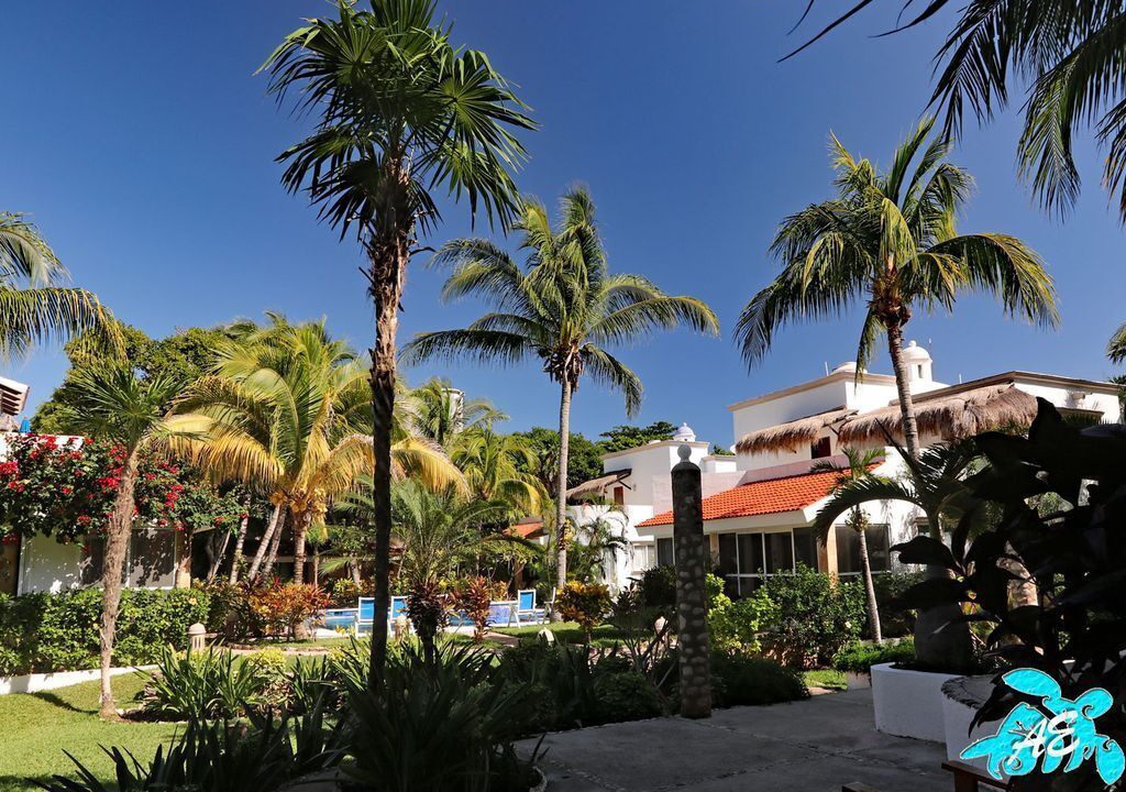 Photo of Outdoor in Akumal