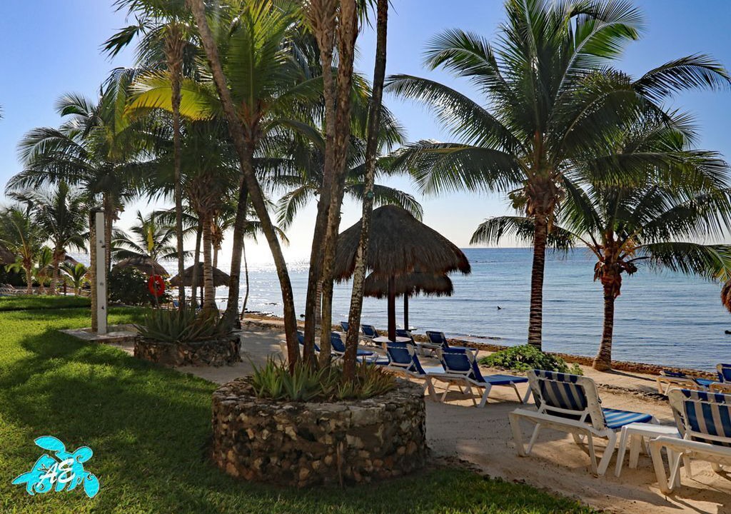 Photo of Others in Akumal