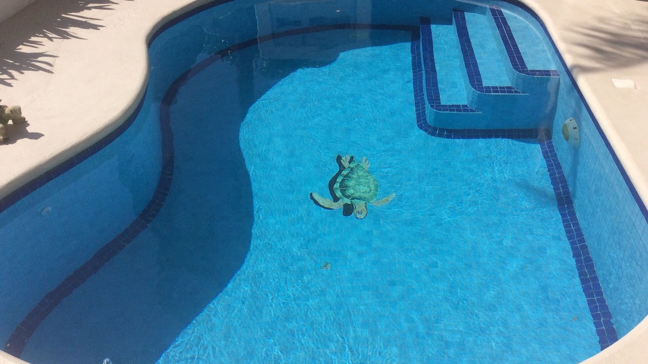 Photo of Outdoor in Playacar Fase I
