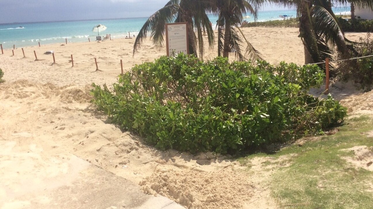 Photo of Others in Playacar Fase I