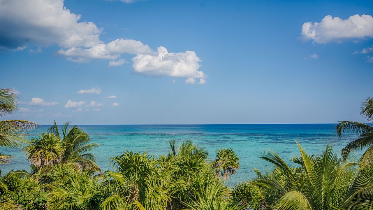 Photo of Others in Akumal