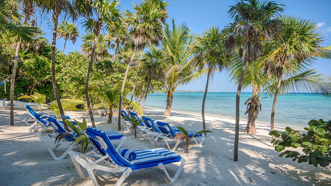 Photo of Others in Akumal