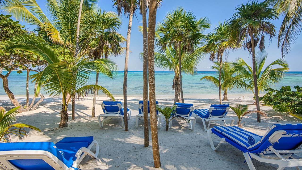 Photo of Others in Akumal