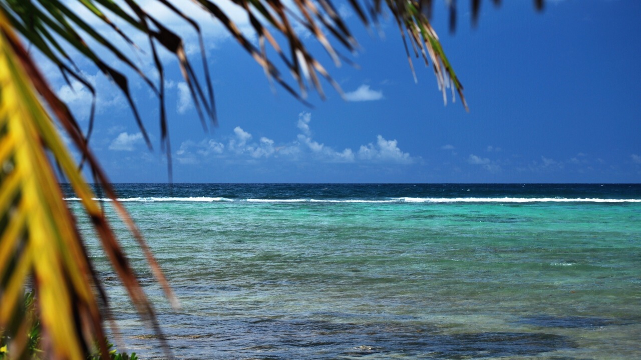 Photo of Others in Akumal
