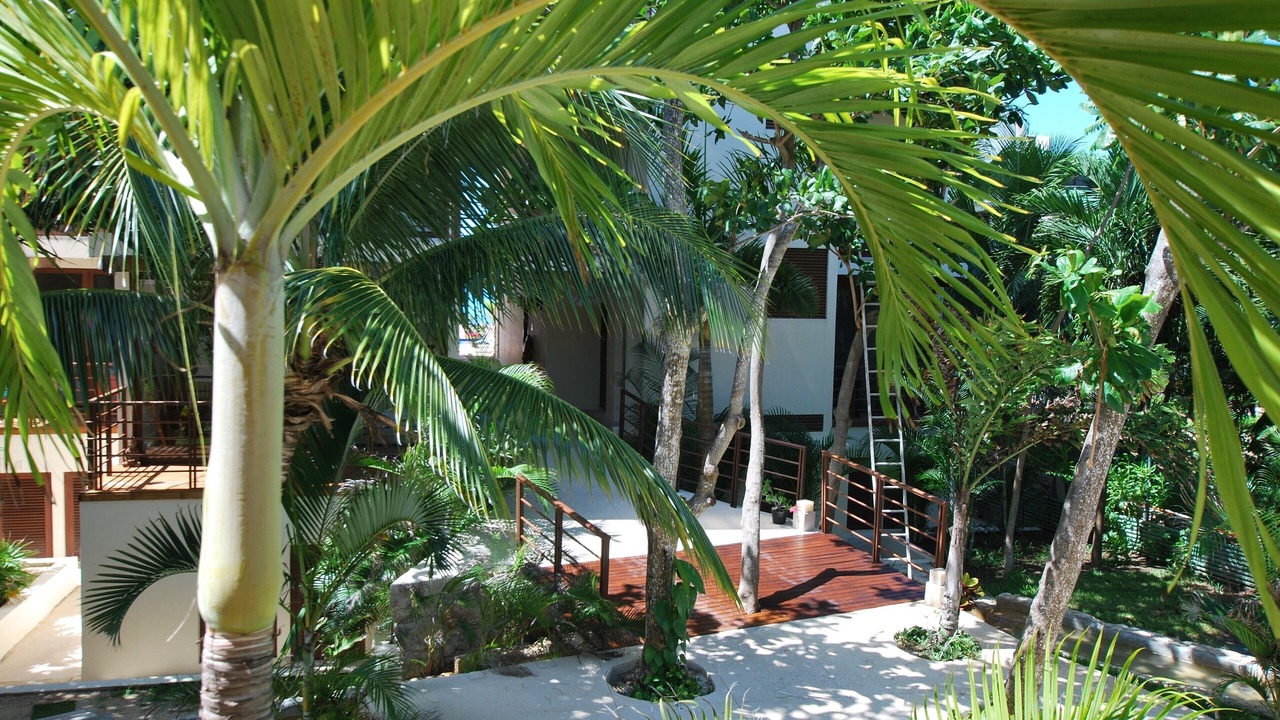 Photo of Outdoor in Akumal