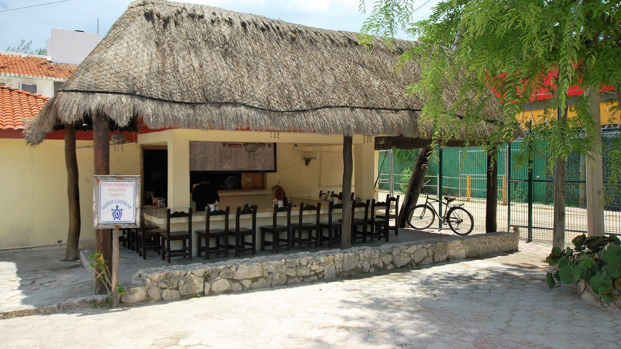 Photo of Others in Akumal