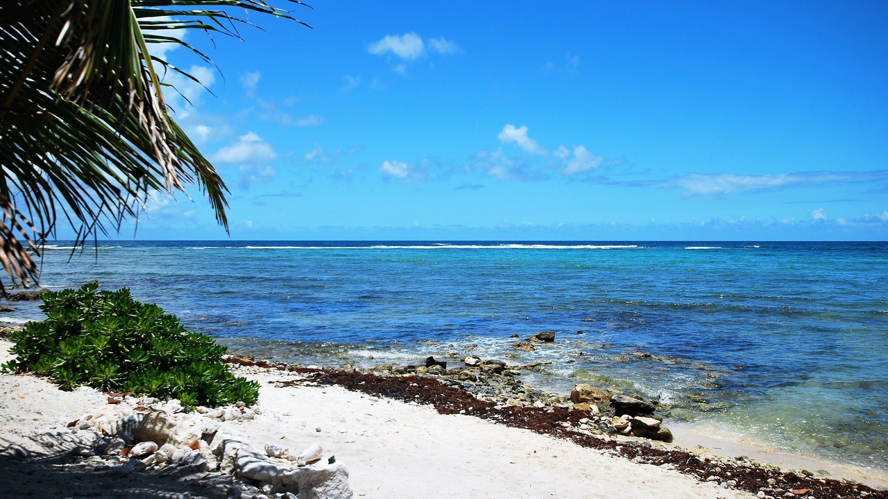 Photo of Others in Akumal