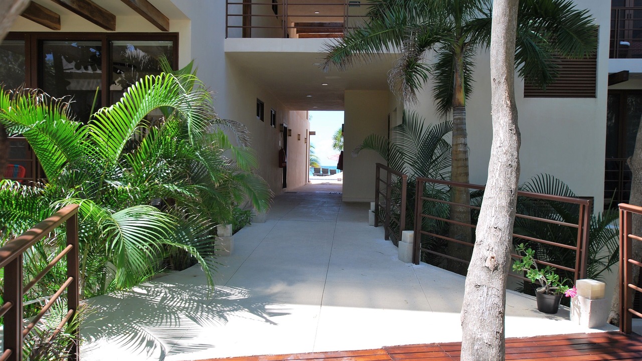Photo of Outdoor in Akumal
