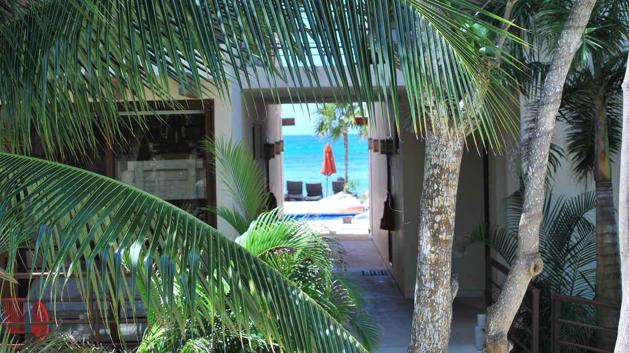 Photo of Outdoor in Akumal