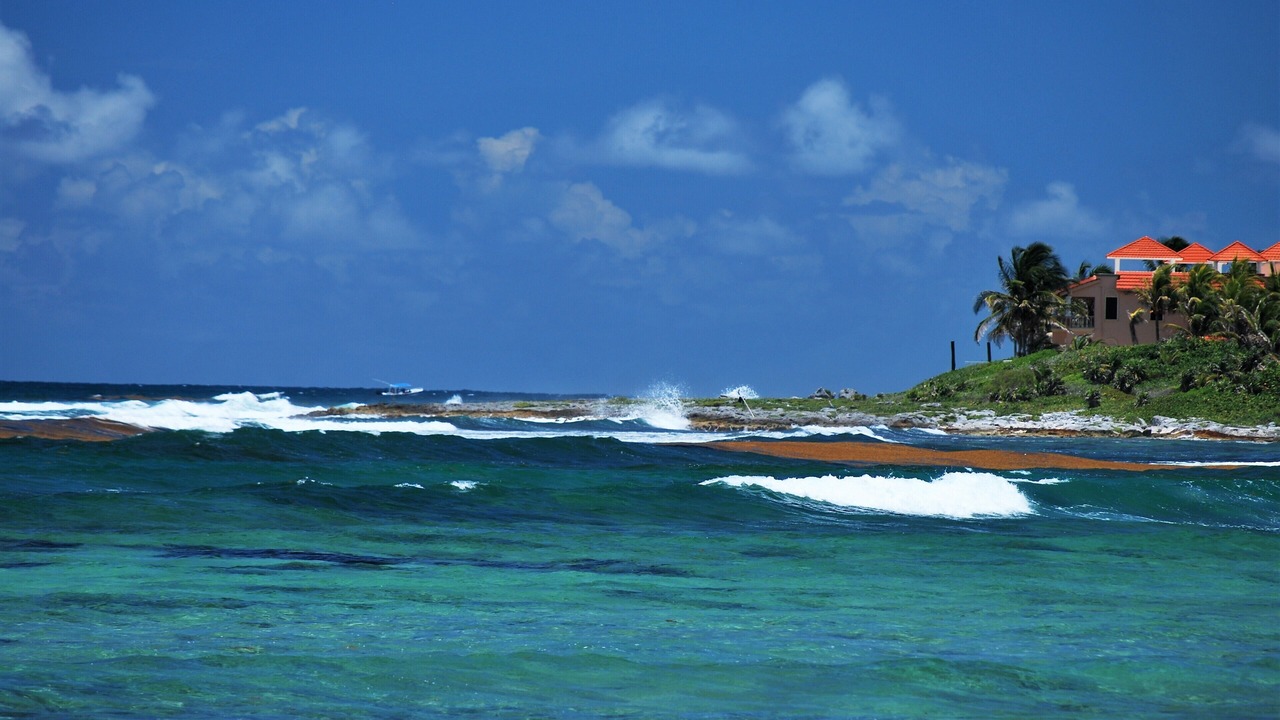 Photo of Others in Akumal