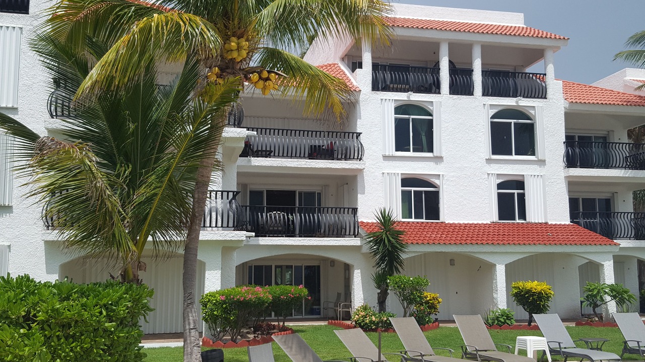 Photo of Others in Puerto Morelos