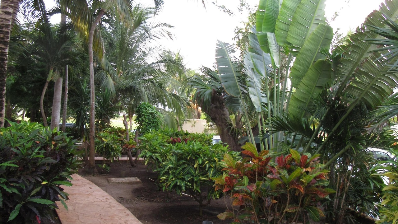 Photo of Outdoor in Puerto Morelos