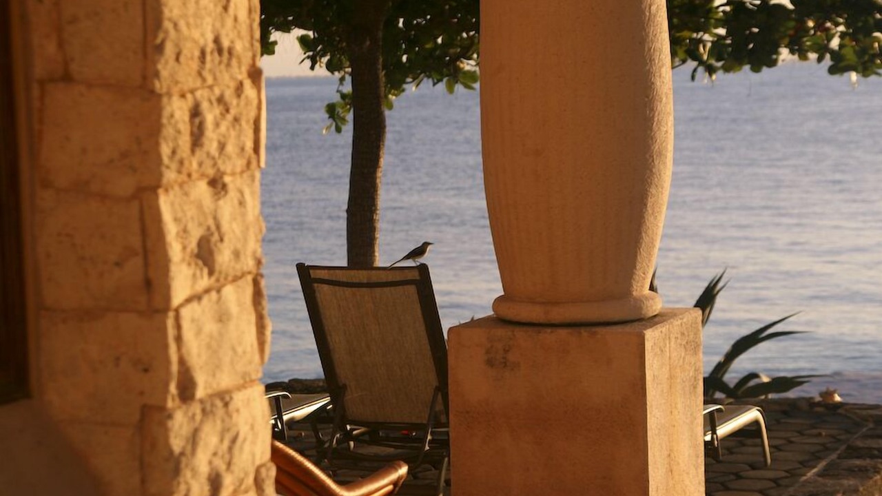 Photo of Others in Isla Mujeres