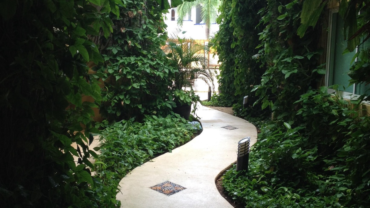 Photo of Outdoor in Gonzalo Guerrero