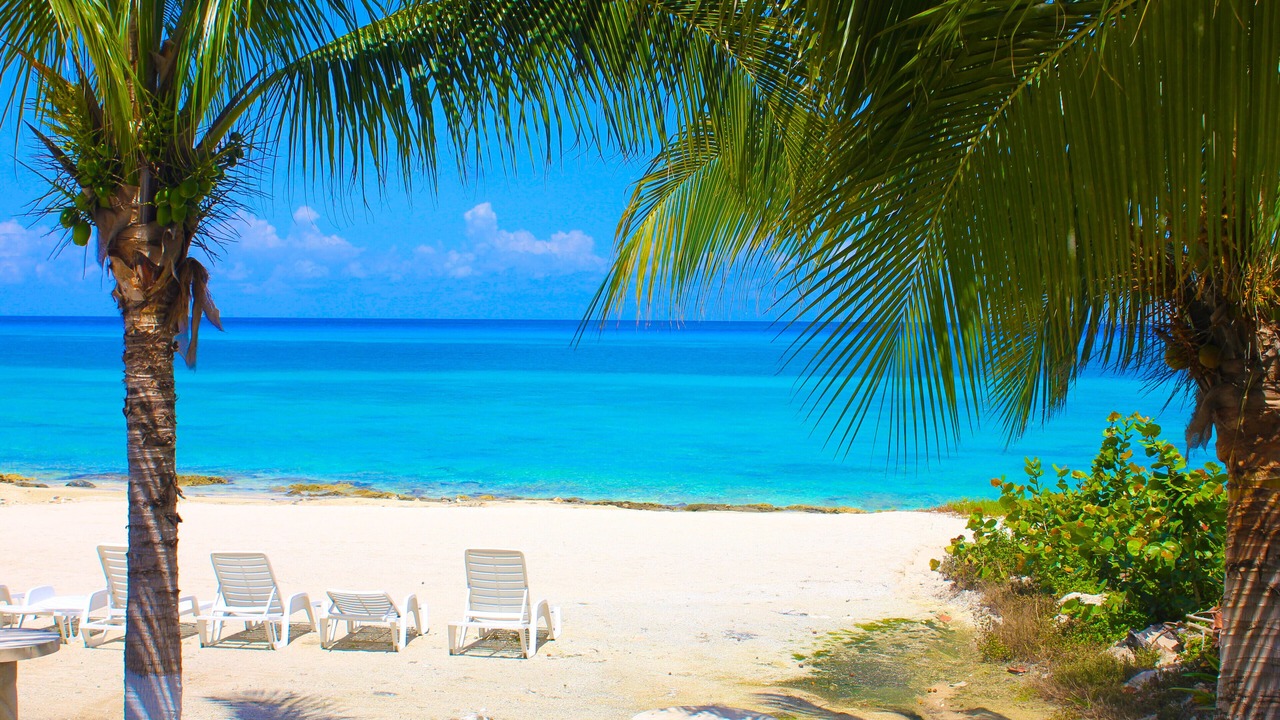 Photo of Others in Cozumel