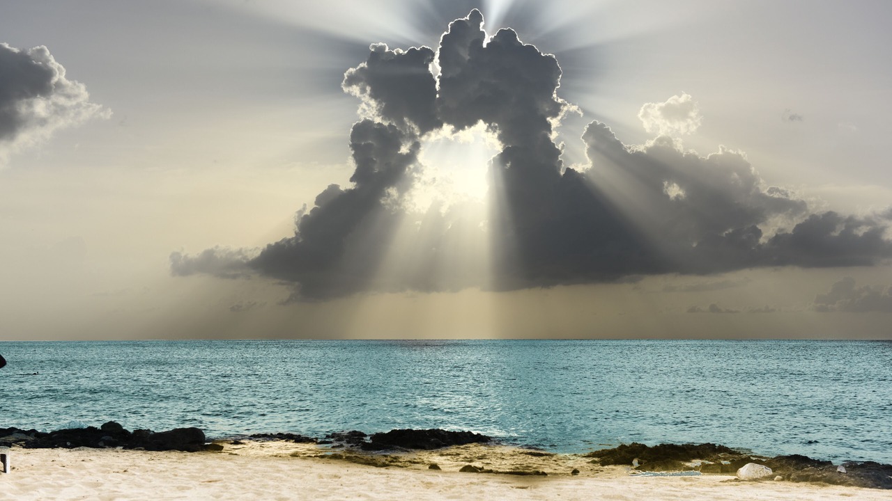 Photo of Others in Cozumel