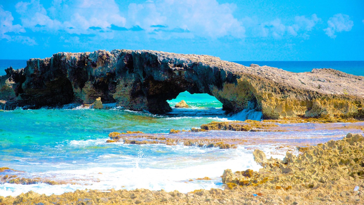 Photo of Others in Cozumel