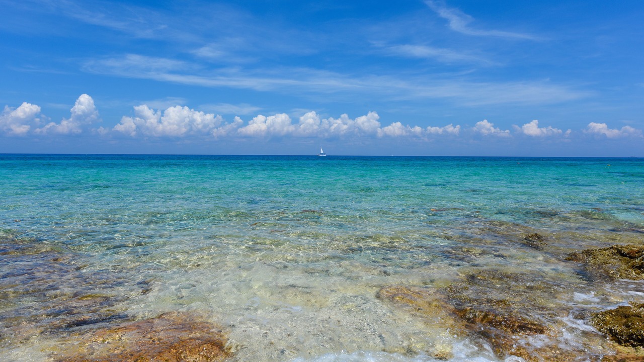 Photo of Others in Cozumel