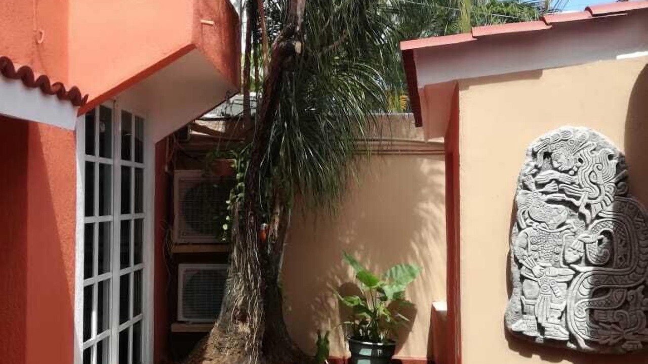 Photo of Outdoor in Downtown Cancun