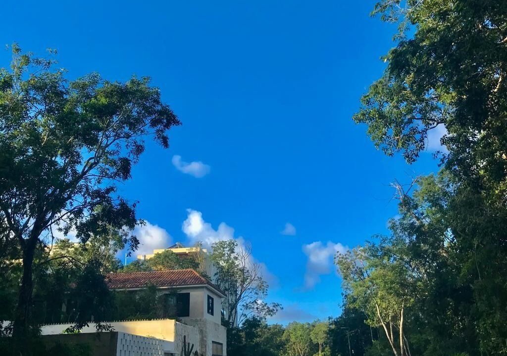 Photo of Others in Tulum City Center