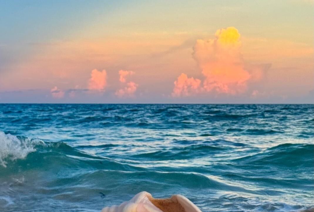 Photo of Others in Playa del Secreto