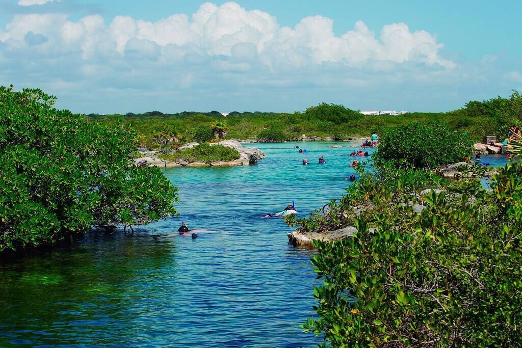 Photo of Others in Akumal