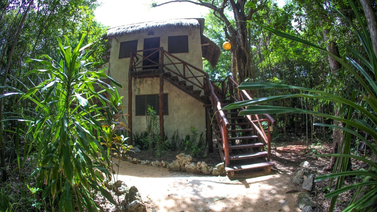 Photo of Outdoor in Downtown Cancun