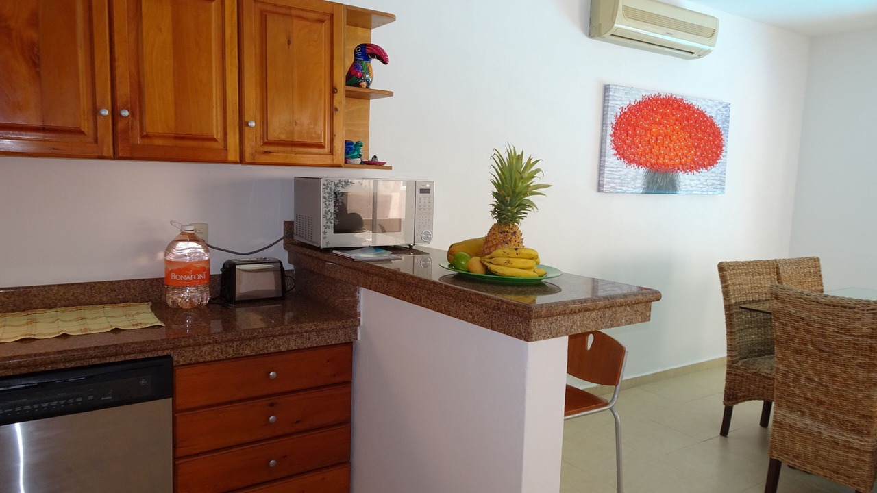 Photo of Kitchen in Puerto Aventuras
