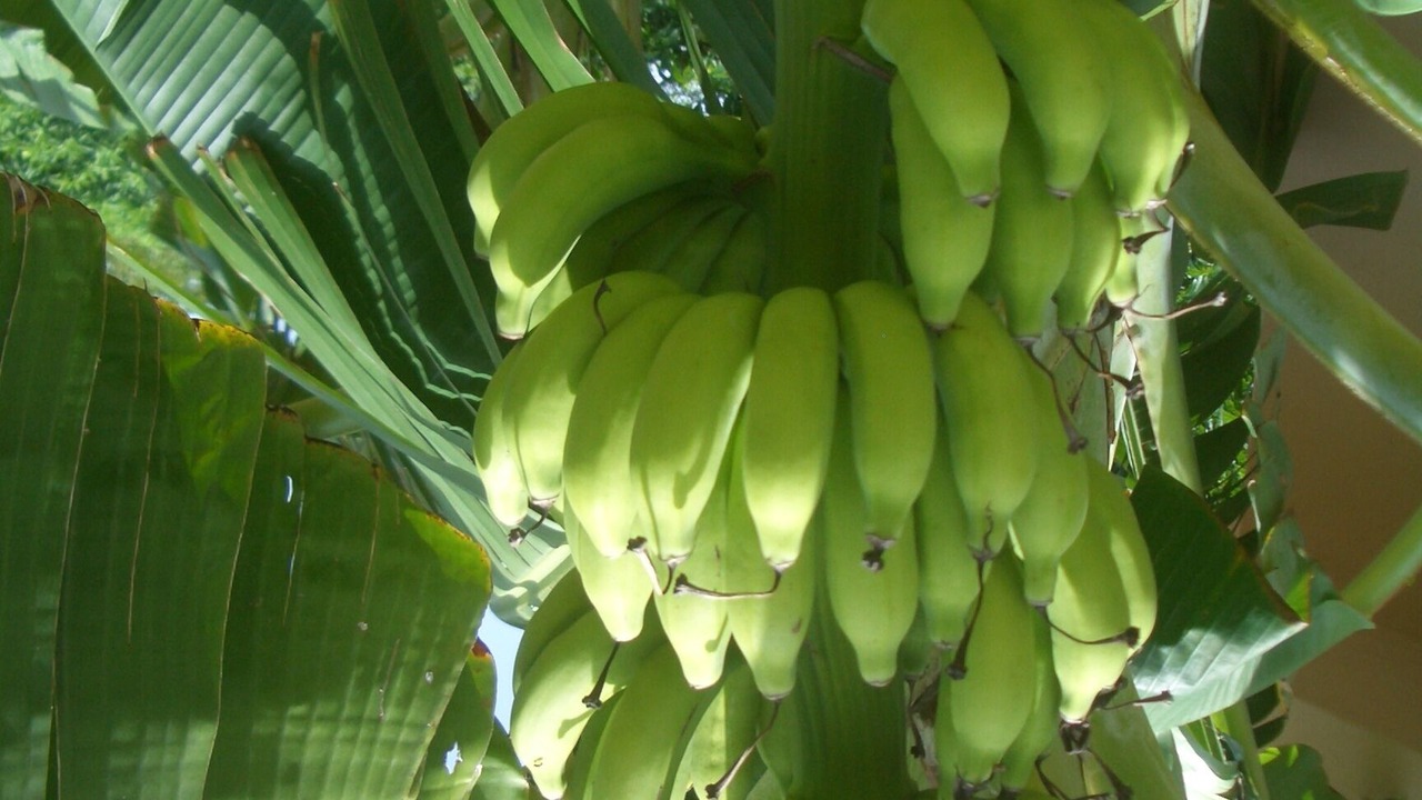 Photo of Outdoor in Puerto Aventuras