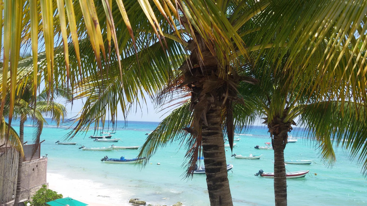 Photo of Others in Puerto Aventuras