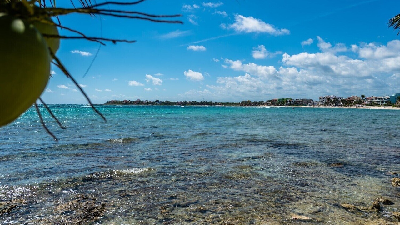 Photo of Others in Akumal