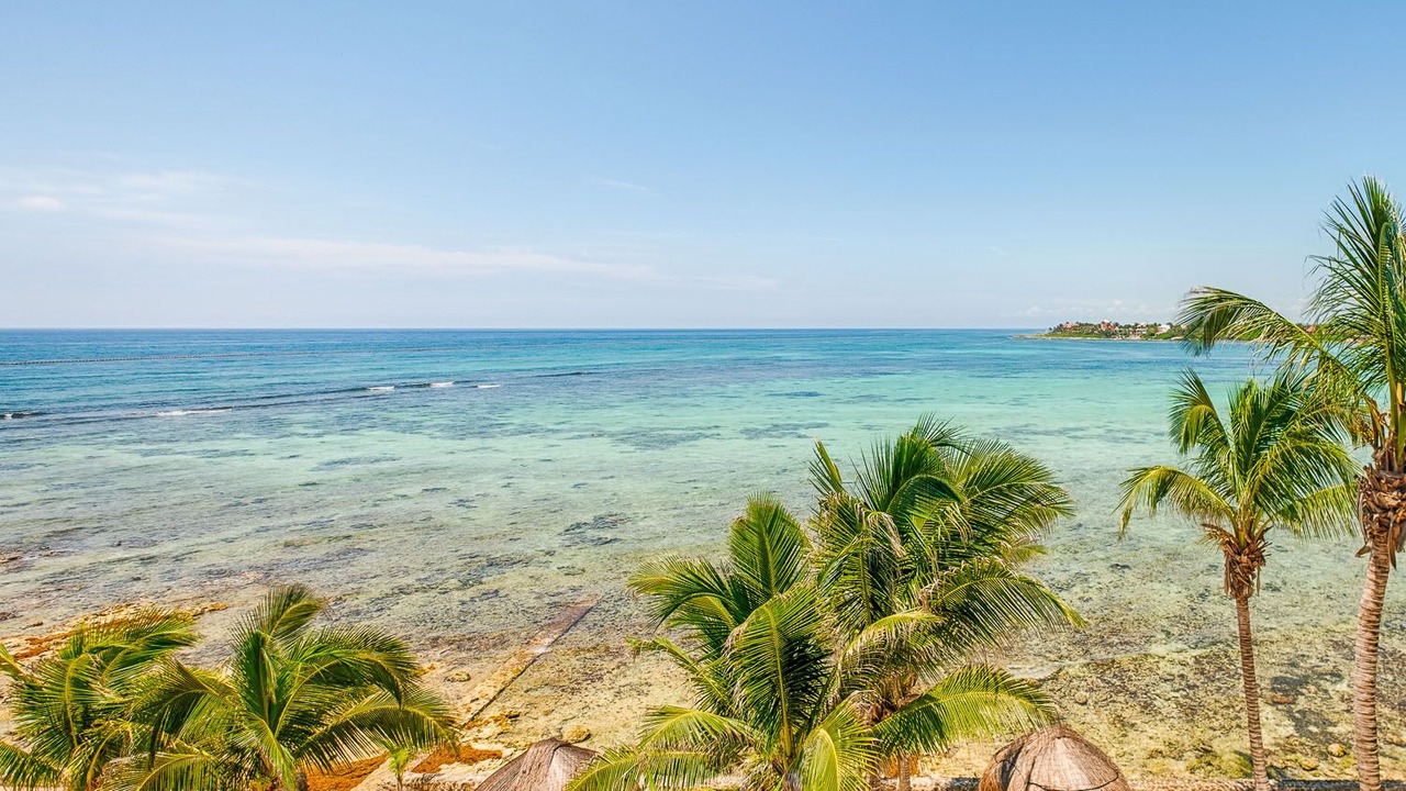 Photo of Others in Akumal