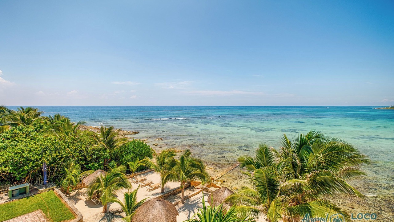 Photo of Others in Akumal